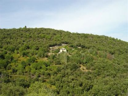 Photos
